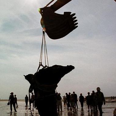 Silhouette of a digger bucket with chains hanging from it. The chains are attached for a large wooden stump. There are people standing in the background watching as the stump is lifted.